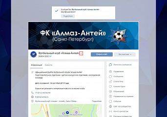 Заветная "галочка" получена! Сообщество ВКонтакте верифицировано!